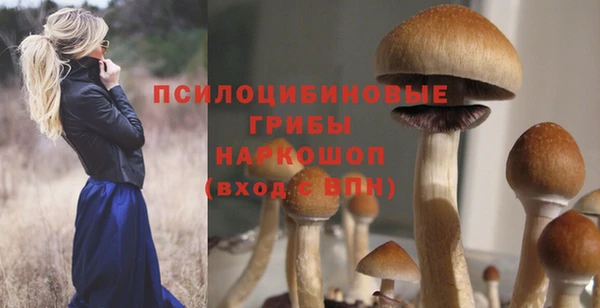прущая мука Краснослободск