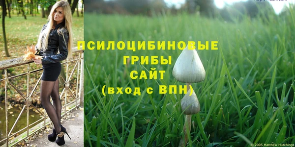 винт Красноперекопск