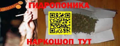 амф Кандалакша