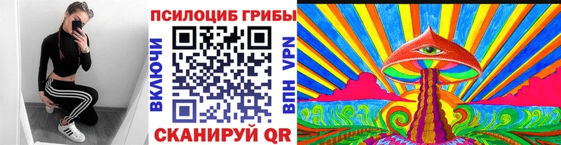 Псилоцибиновые грибы Psilocybine cubensis  Ялта 