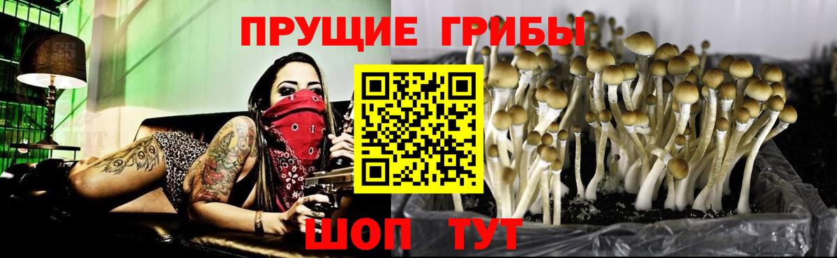 Галлюциногенные грибы мицелий Ялта