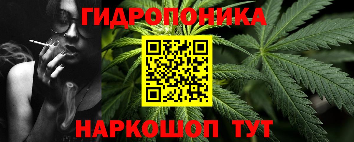 Конопля AK-47 Ялта